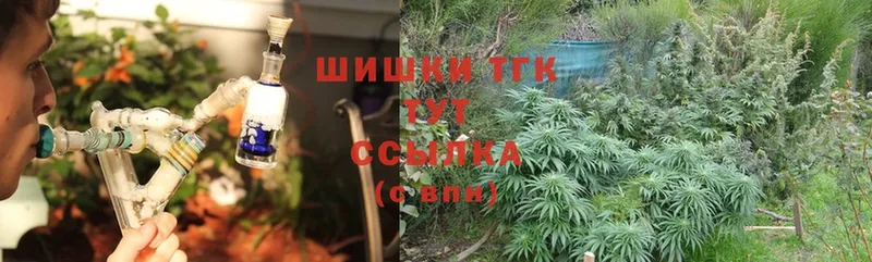 Конопля Ganja  где продают наркотики  Ельня 